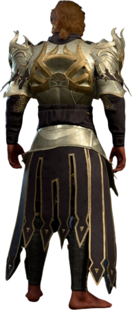 Dark Justiciar Mail High Elf Back