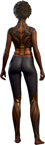 Lionheart Outfit Human Back