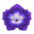 Thumbnail for version as of 20:35, 8 April 2025