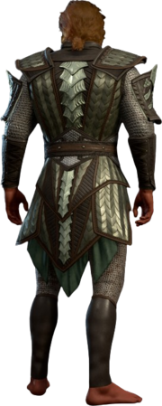 Yuan-Ti Scale Mail High Elf Back