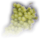 Grapes (green)