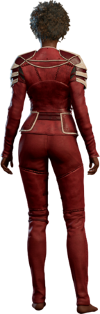 Scarlet Leather Armour Human Back