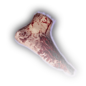 Severed Foot image