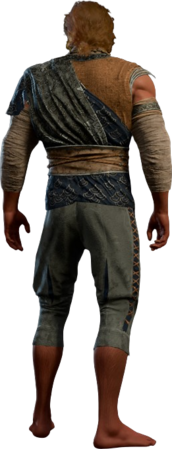 Garb of the Land and Sky Half-Elf Back